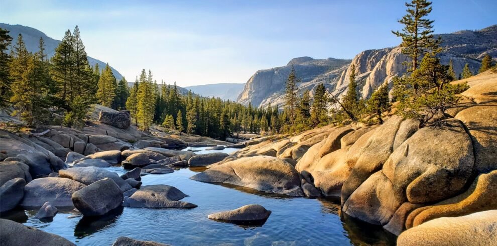 Wilderness